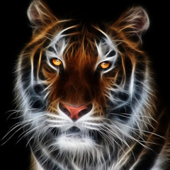 nanoutigra miss