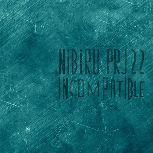 NIBIRU PRJ22’s avatar