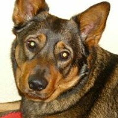 ThoMas Offizielle Seite