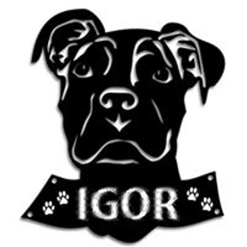 AmStaff Igor’s avatar