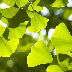 Podcast da Naturologia