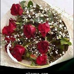 Iman Abdallah