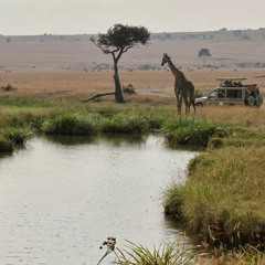May Pen 2 Salt Spring