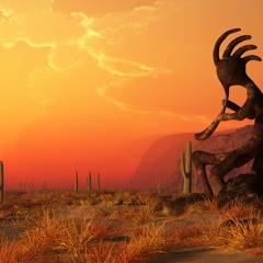 KOKOPELLI
