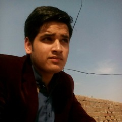 Hassan Habib