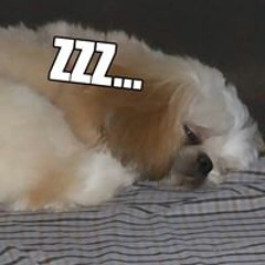 Rener James V. Ramirez