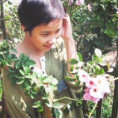 Cẩm Lai Huỳnh