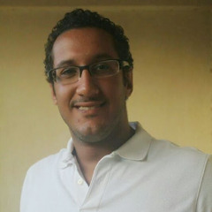Hossam Ameen