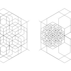 SymmetricWsp