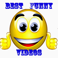 Best funny videos. show