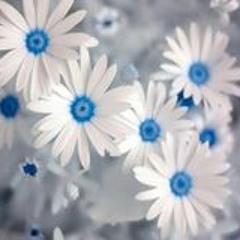 Kh Almesbahi