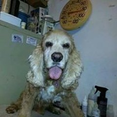 Christopher McCabe Mmp