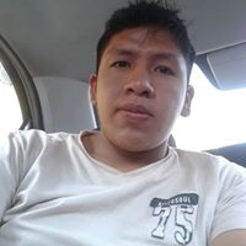 Juan David Huaman Leon’s avatar