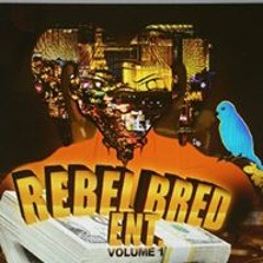 Rebel Bred