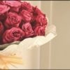 alnoor1111