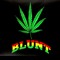 blurred_visionz