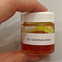 Calendula Staples-Hill