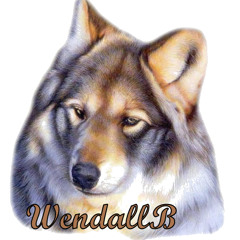 wendallb