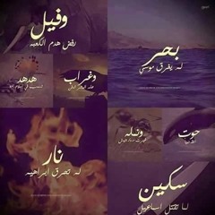 Ebrahem Aboelmagd