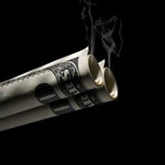 صوفيا صادق  اطلق كلابك فى الشوارع