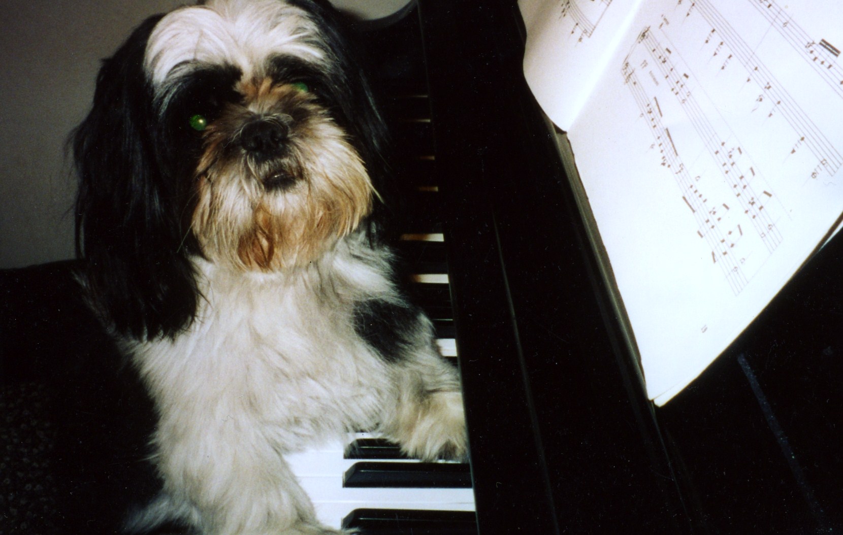 Musictake
