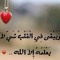 user646158295