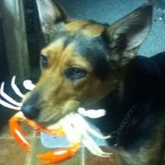 Ashlei Pevitt-Isaacson