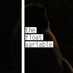 The Float Variable