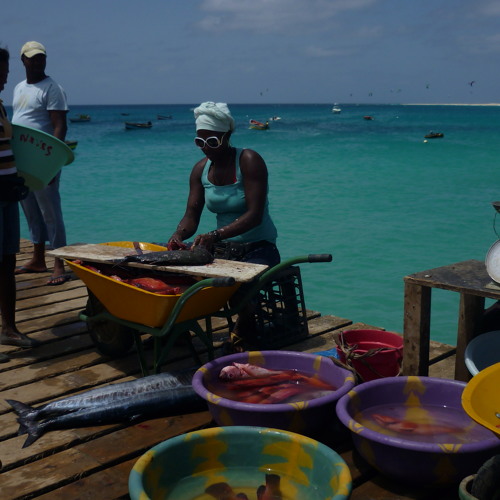 House - Deep, Disco & Progressive tracks