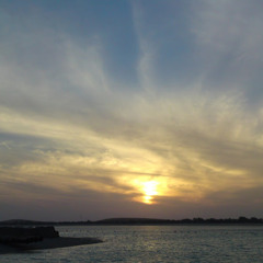 najm D