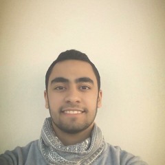 Mohamed Elkhateb