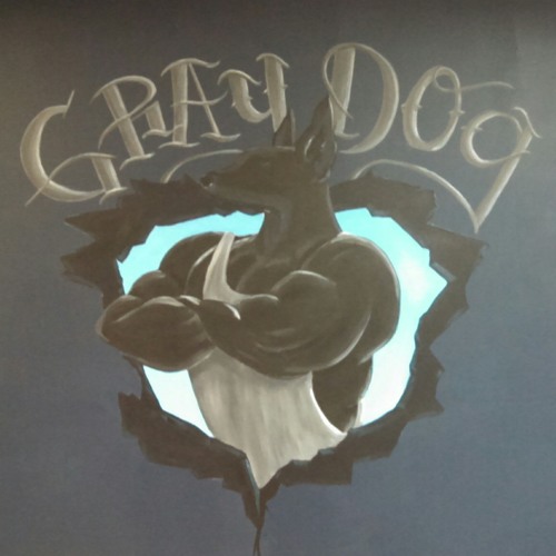 Gray Dog’s avatar
