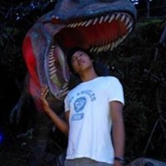 Michael Ongki Crispo