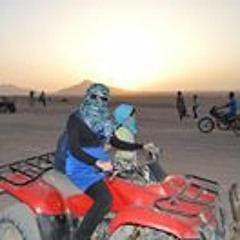 qor2an