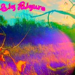 BIGFIGURE