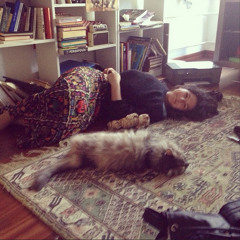 yaşasın sebze köfteleri