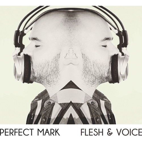 Perfect Mark’s avatar