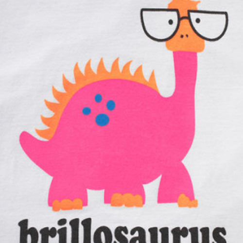 brillosaurus’s avatar