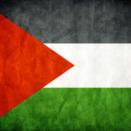 Palestine Nasheed’s avatar