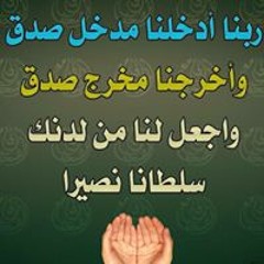 user710234007