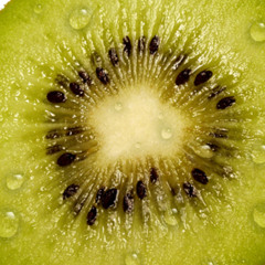 Gabe Wilhorn (VxS Kiwi)