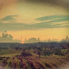 amandinesoulieramandine