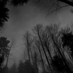 eersn