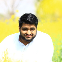 Tabish