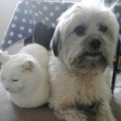 Natàlia Cubells Urqui