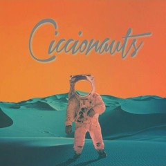 Ciccionauts