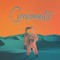 Ciccionauts