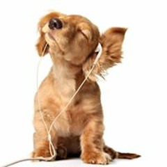 Gonzalo Daniel Soria