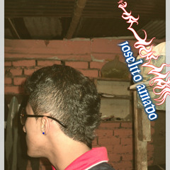 Joselito Amado S A