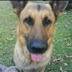 Maria Jose Rodriguez